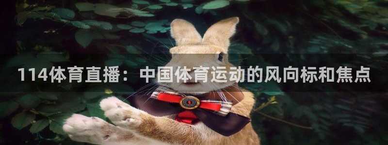 114体育直播：中国体育运动的风向标和焦点